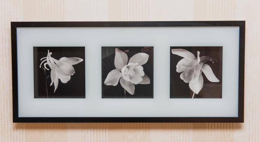 Апартаменты Apartaments on Chekhova Ростов-на-Дону-11