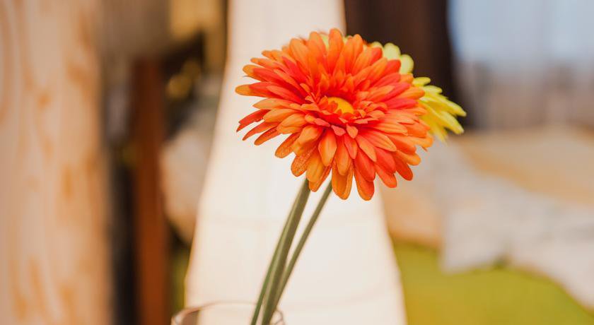 Апартаменты Apartaments on Chekhova Ростов-на-Дону